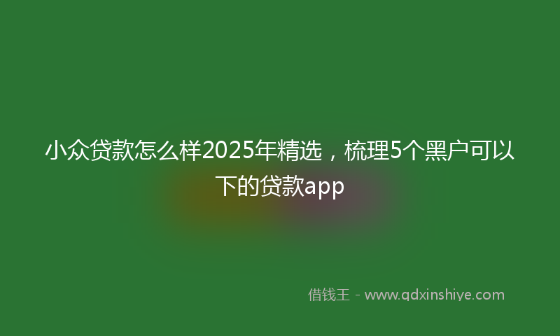 小众贷款怎么样2025年精选，梳理5个黑户可以下的贷款app