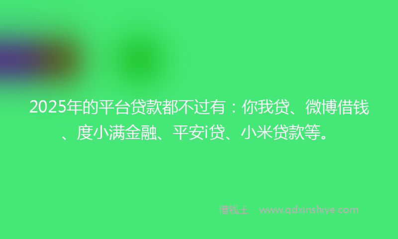 2025年的平台贷款都不过有：你我贷、微博借钱、度小满金融、平安i贷、小米贷款等。