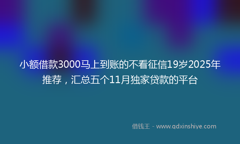 小额借款3000马上到账的不看征信19岁2025年推荐，汇总五个11月独家贷款的平台