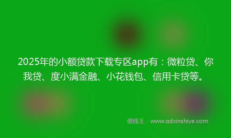 2025年的小额贷款下载专区app有：微粒贷、你我贷、度小满金融、小花钱包、信用卡贷等。