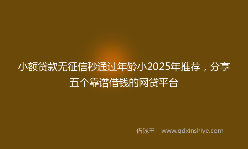 小额贷款无征信秒通过年龄小2025年推荐，分享五个靠谱借钱的网贷平台