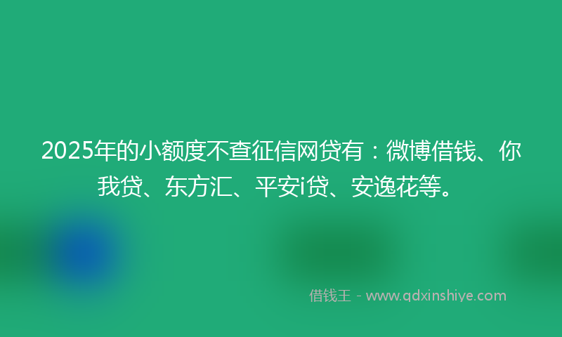 2025年的小额度不查征信网贷有：微博借钱、你我贷、东方汇、平安i贷、安逸花等。