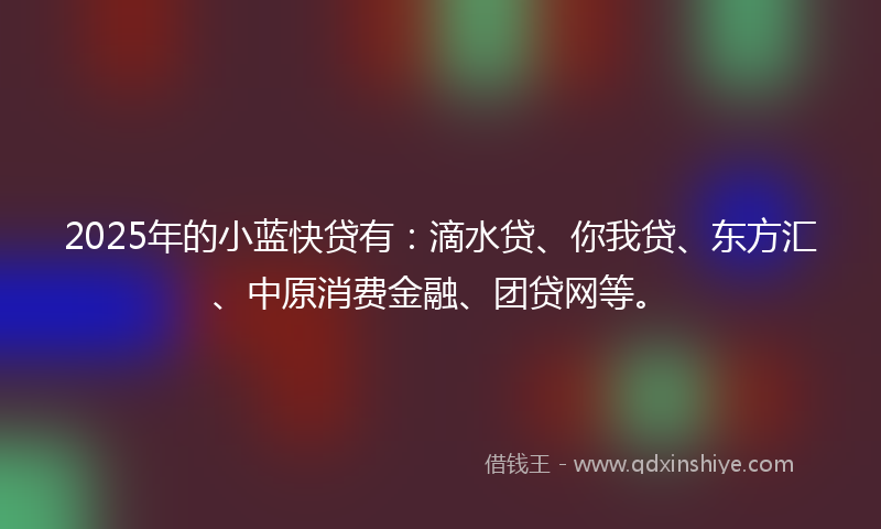 2025年的小蓝快贷有：滴水贷、你我贷、东方汇、中原消费金融、团贷网等。