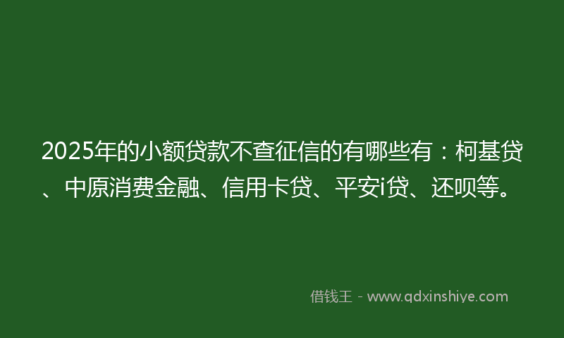 2025年的小额贷款不查征信的有哪些有：柯基贷、中原消费金融、信用卡贷、平安i贷、还呗等。