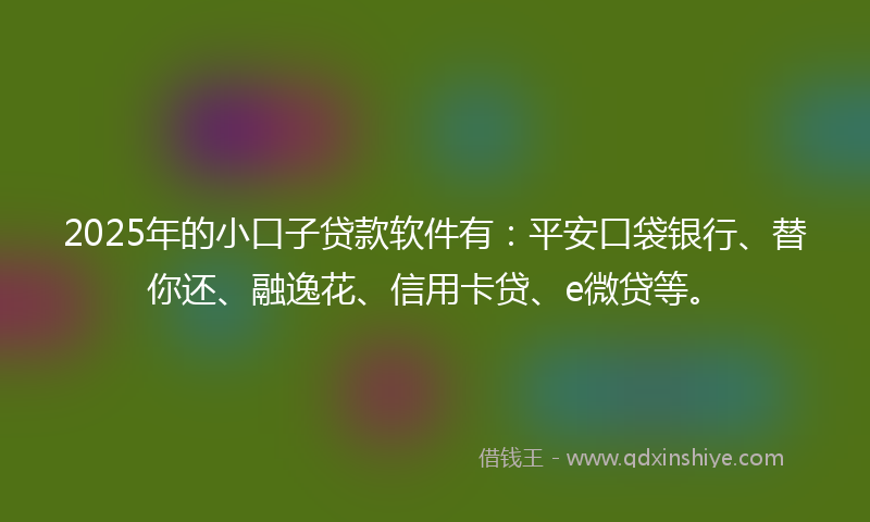 2025年的小口子贷款软件有：平安口袋银行、替你还、融逸花、信用卡贷、e微贷等。