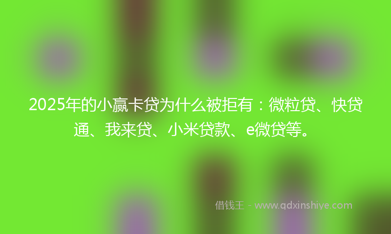 2025年的小赢卡贷为什么被拒有：微粒贷、快贷通、我来贷、小米贷款、e微贷等。