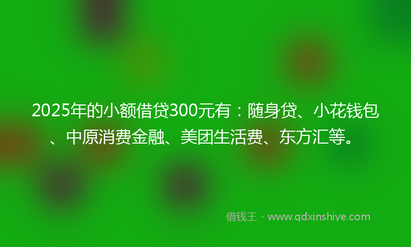 2025年的小额借贷300元有：随身贷、小花钱包、中原消费金融、美团生活费、东方汇等。