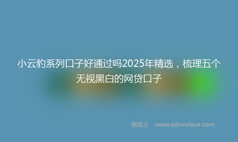 小云豹系列口子好通过吗2025年精选，梳理五个无视黑白的网贷口子