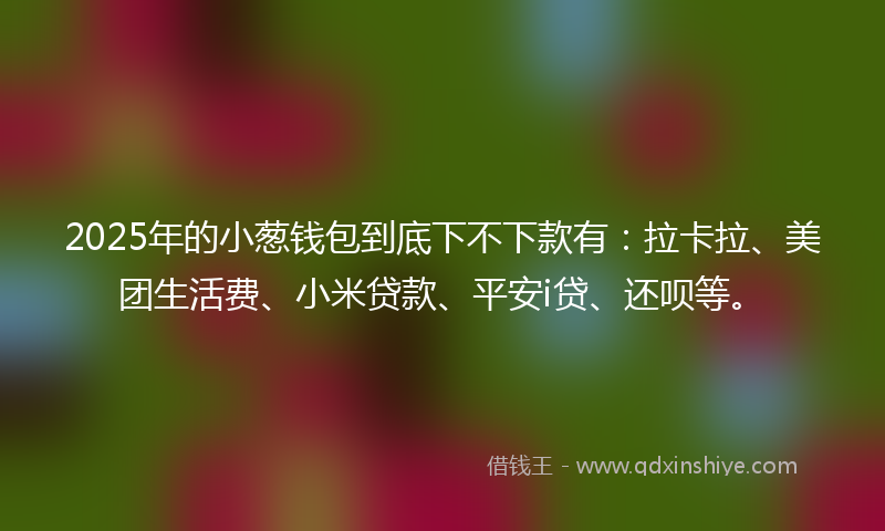 2025年的小葱钱包到底下不下款有：拉卡拉、美团生活费、小米贷款、平安i贷、还呗等。