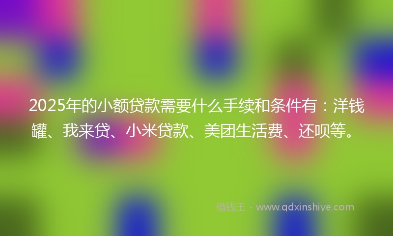 2025年的小额贷款需要什么手续和条件有：洋钱罐、我来贷、小米贷款、美团生活费、还呗等。