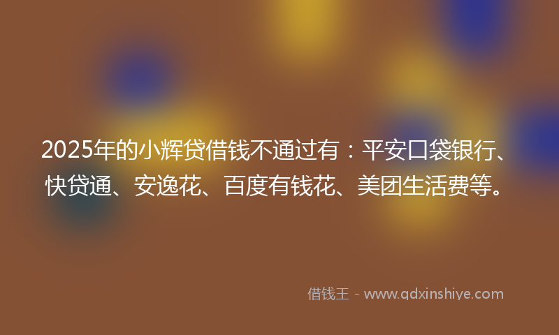 2025年的小辉贷借钱不通过有：平安口袋银行、快贷通、安逸花、百度有钱花、美团生活费等。