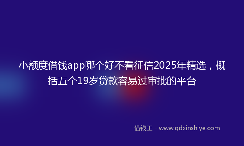 小额度借钱app哪个好不看征信2025年精选，概括五个19岁贷款容易过审批的平台