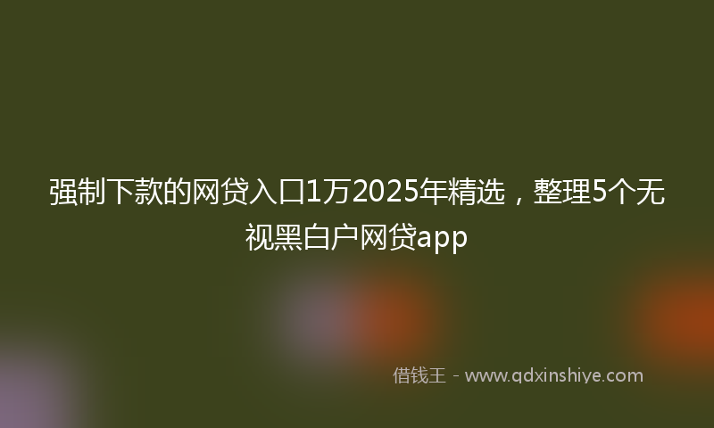强制下款的网贷入口1万2025年精选，整理5个无视黑白户网贷app