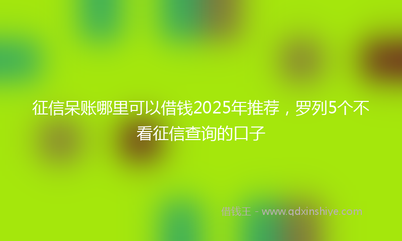 征信呆账哪里可以借钱2025年推荐，罗列5个不看征信查询的口子
