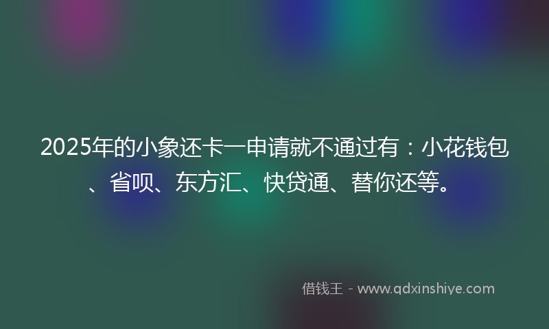 2025年的小象还卡一申请就不通过有：小花钱包、省呗、东方汇、快贷通、替你还等。