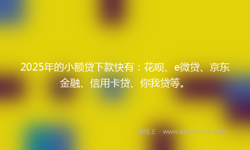 2025年的小额贷下款快有：花呗、e微贷、京东金融、信用卡贷、你我贷等。