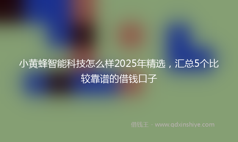 小黄蜂智能科技怎么样2025年精选，汇总5个比较靠谱的借钱口子