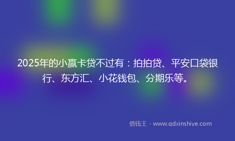 2025年的小赢卡贷不过有：拍拍贷、平安口袋银行、东方汇、小花钱包、分期乐等。