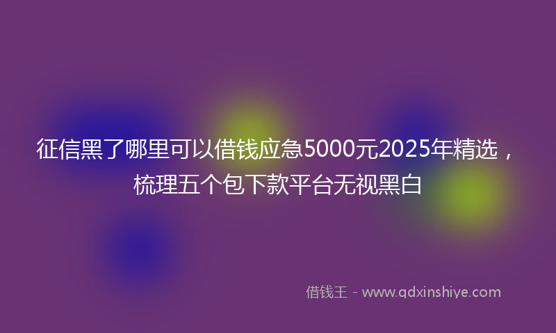 征信黑了哪里可以借钱应急5000元2025年精选，梳理五个包下款平台无视黑白