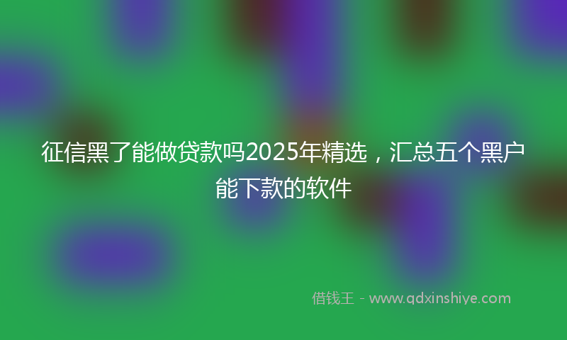 征信黑了能做贷款吗2025年精选，汇总五个黑户能下款的软件