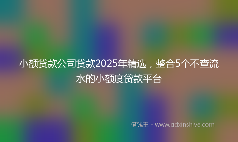 小额贷款公司贷款2025年精选，整合5个不查流水的小额度贷款平台