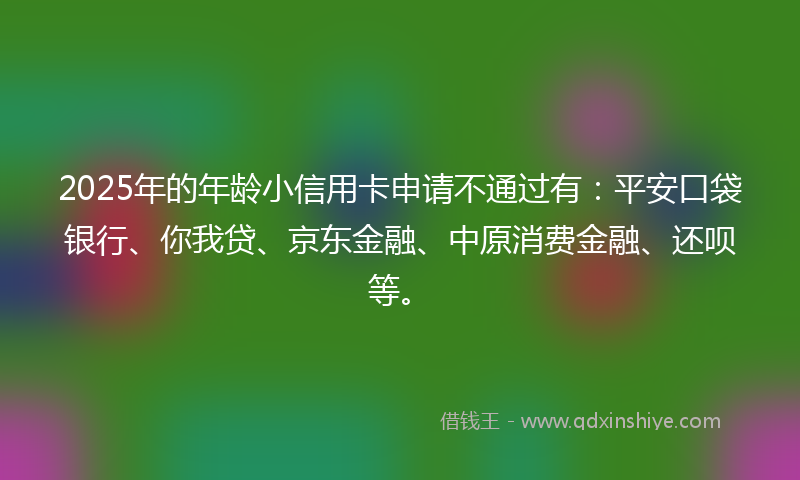 2025年的年龄小信用卡申请不通过有：平安口袋银行、你我贷、京东金融、中原消费金融、还呗等。
