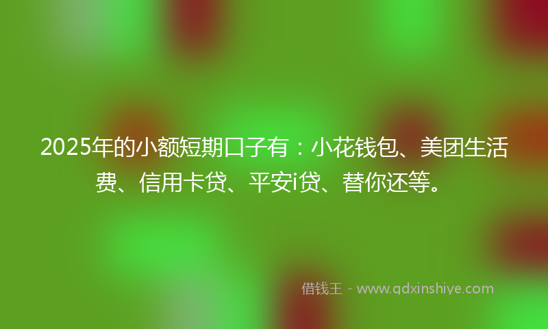 2025年的小额短期口子有：小花钱包、美团生活费、信用卡贷、平安i贷、替你还等。
