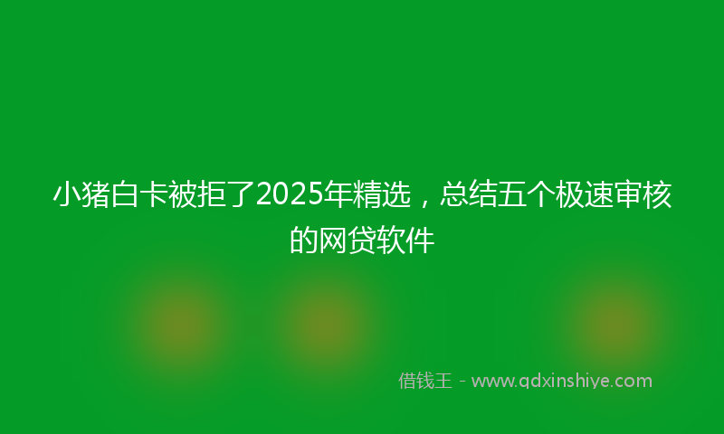 小猪白卡被拒了2025年精选，总结五个极速审核的网贷软件