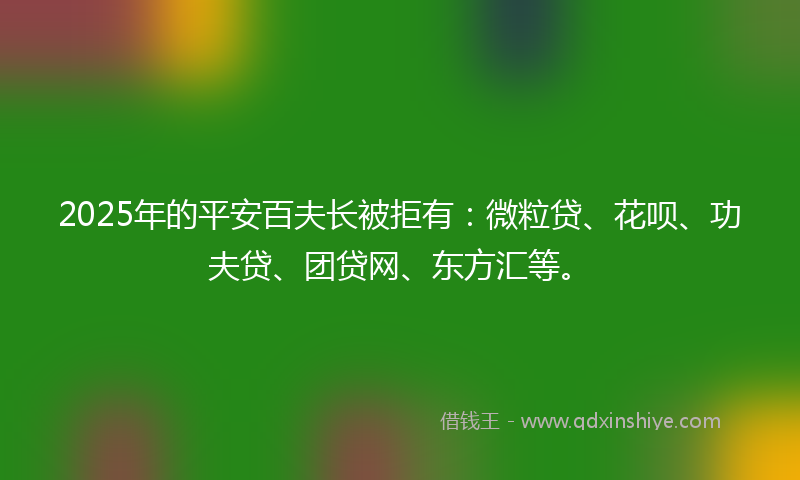 2025年的平安百夫长被拒有：微粒贷、花呗、功夫贷、团贷网、东方汇等。