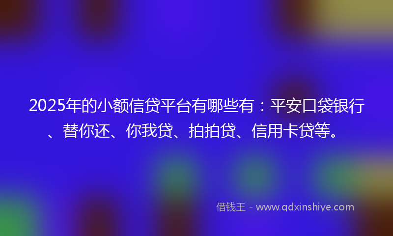 2025年的小额信贷平台有哪些有：平安口袋银行、替你还、你我贷、拍拍贷、信用卡贷等。