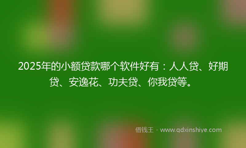 2025年的小额贷款哪个软件好有：人人贷、好期贷、安逸花、功夫贷、你我贷等。
