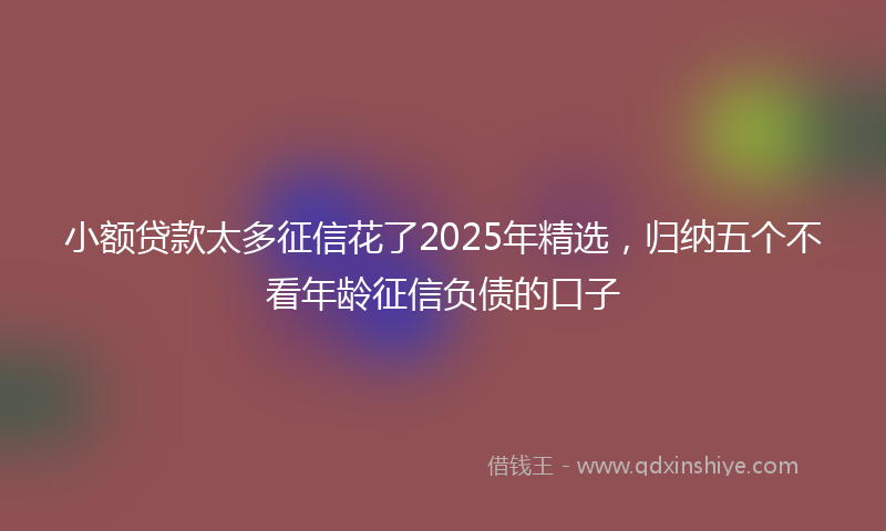 小额贷款太多征信花了2025年精选，归纳五个不看年龄征信负债的口子