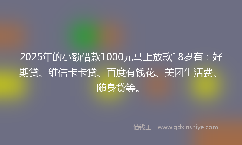 2025年的小额借款1000元马上放款18岁有：好期贷、维信卡卡贷、百度有钱花、美团生活费、随身贷等。