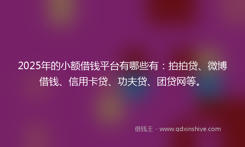 2025年的小额借钱平台有哪些有：拍拍贷、微博借钱、信用卡贷、功夫贷、团贷网等。