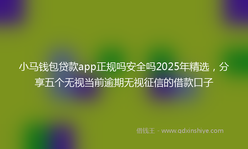 小马钱包贷款app正规吗安全吗2025年精选，分享五个无视当前逾期无视征信的借款口子