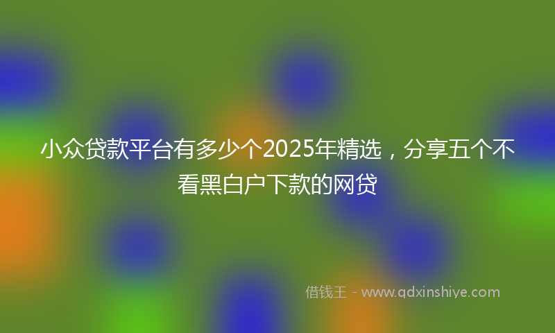 小众贷款平台有多少个2025年精选，分享五个不看黑白户下款的网贷