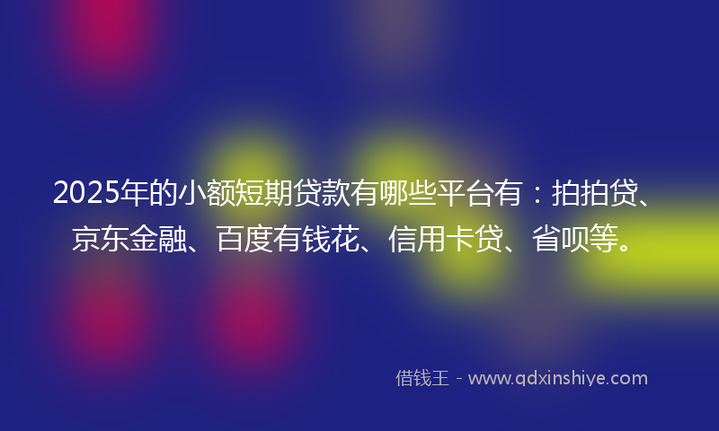 2025年的小额短期贷款有哪些平台有：拍拍贷、京东金融、百度有钱花、信用卡贷、省呗等。