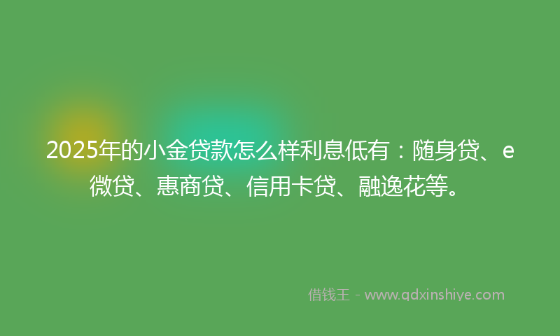 2025年的小金贷款怎么样利息低有：随身贷、e微贷、惠商贷、信用卡贷、融逸花等。
