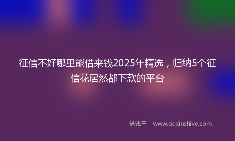 征信不好哪里能借来钱2025年精选，归纳5个征信花居然都下款的平台