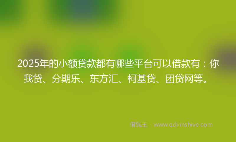 2025年的小额贷款都有哪些平台可以借款有：你我贷、分期乐、东方汇、柯基贷、团贷网等。