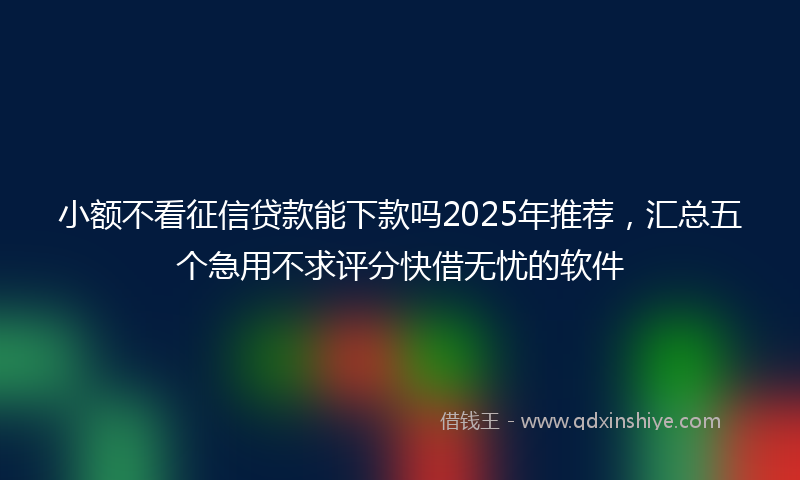 小额不看征信贷款能下款吗2025年推荐，汇总五个急用不求评分快借无忧的软件
