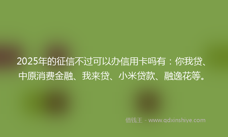 2025年的征信不过可以办信用卡吗有：你我贷、中原消费金融、我来贷、小米贷款、融逸花等。