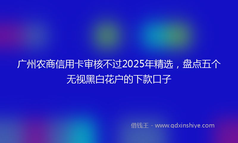 广州农商信用卡审核不过2025年精选，盘点五个无视黑白花户的下款口子