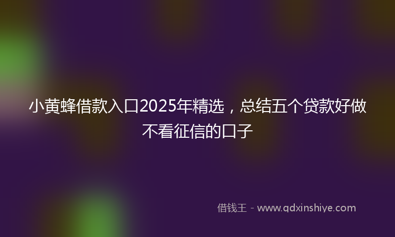 小黄蜂借款入口2025年精选，总结五个贷款好做不看征信的口子