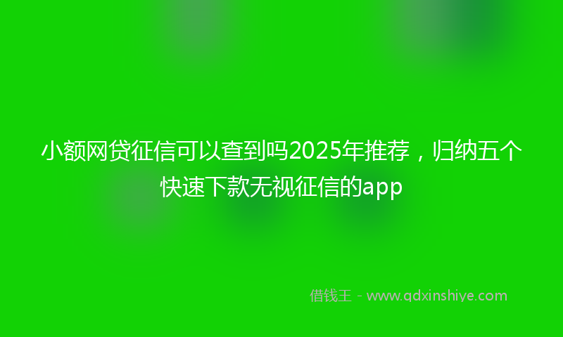 小额网贷征信可以查到吗2025年推荐，归纳五个快速下款无视征信的app