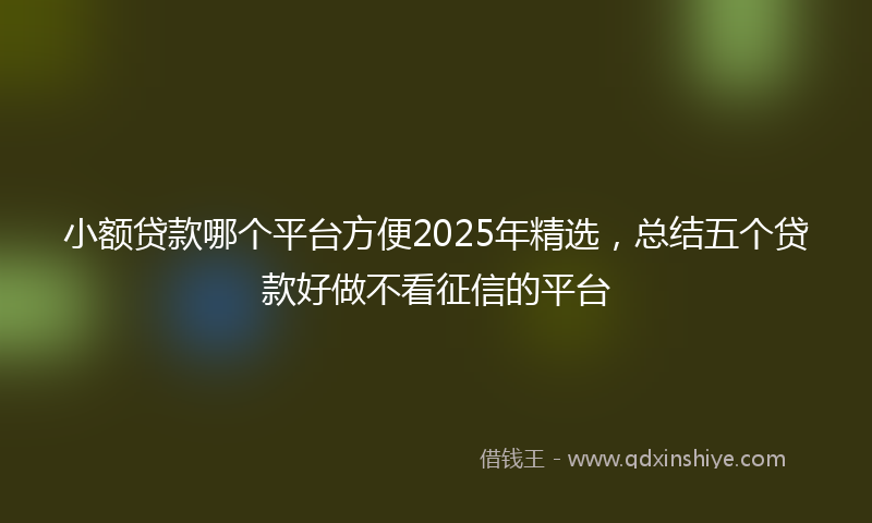 小额贷款哪个平台方便2025年精选，总结五个贷款好做不看征信的平台