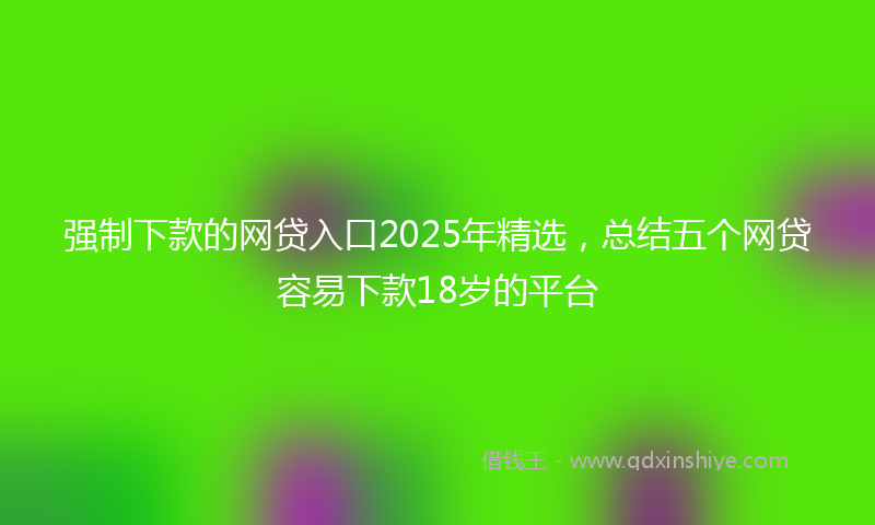强制下款的网贷入口2025年精选，总结五个网贷容易下款18岁的平台