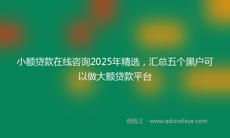 小额贷款在线咨询2025年精选，汇总五个黑户可以做大额贷款平台
