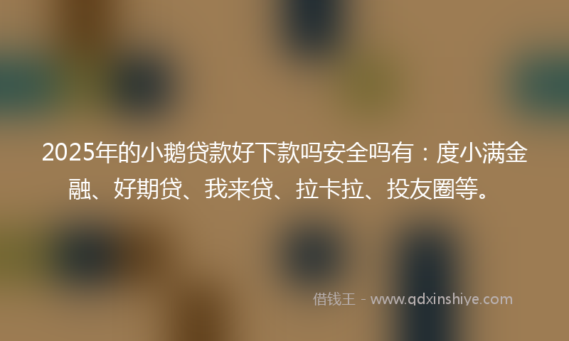 2025年的小鹅贷款好下款吗安全吗有：度小满金融、好期贷、我来贷、拉卡拉、投友圈等。