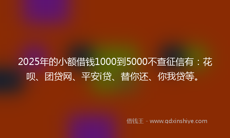 2025年的小额借钱1000到5000不查征信有：花呗、团贷网、平安i贷、替你还、你我贷等。